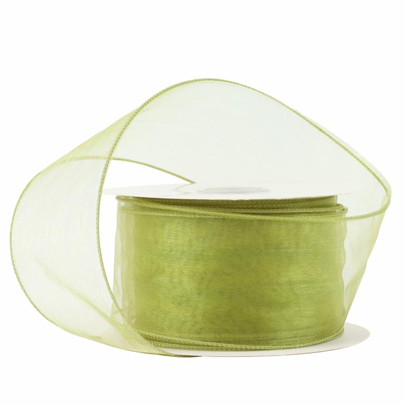 Sheer |  2 1/2" Wired Sheer Ribbon | Apple Green | 50 Yard Roll Ribbon Sheer